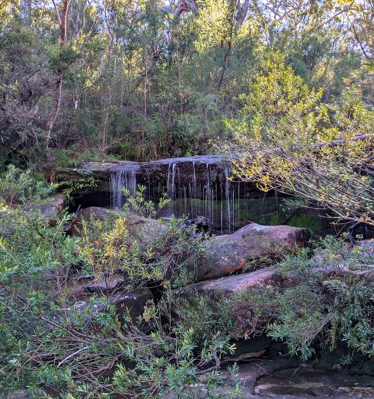 Small waterfall on the trail