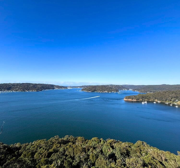 Bairne Lookout