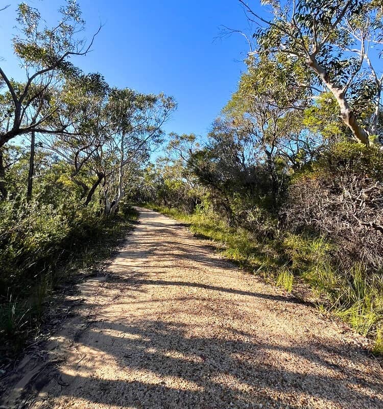 Bairne Track fire trail