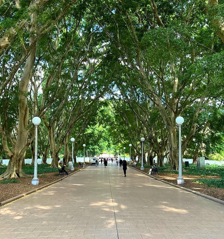 Hyde Park in Sydney