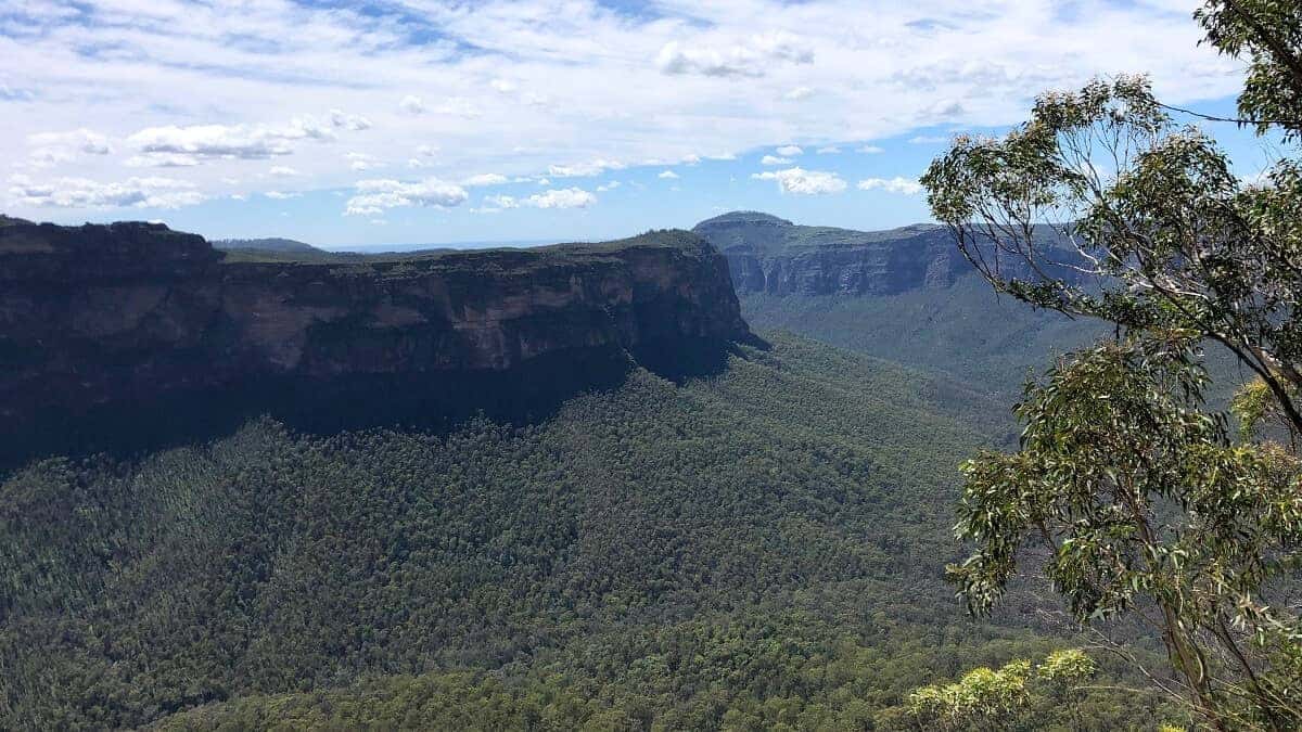 Perrys Lookdown to Blue Gum Forest Walking Track