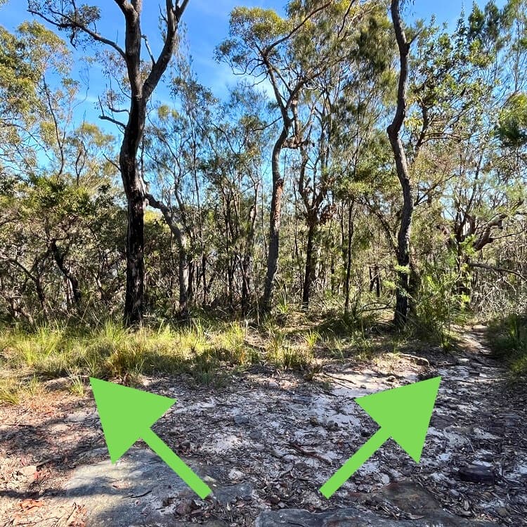 Junction at the end of the fire trail