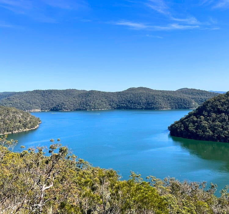 Views over Cowan Creek and America Bay