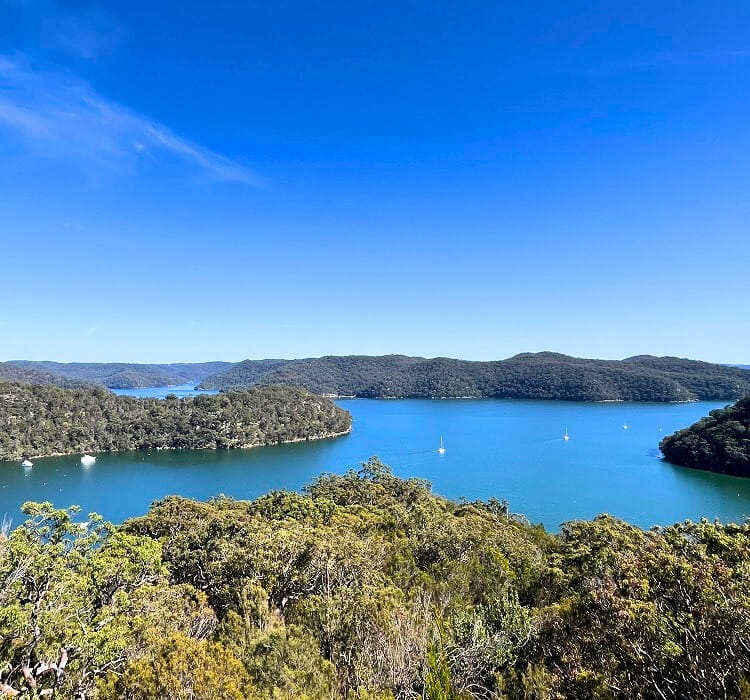 Views over Cowan Creek and Refuge Bay