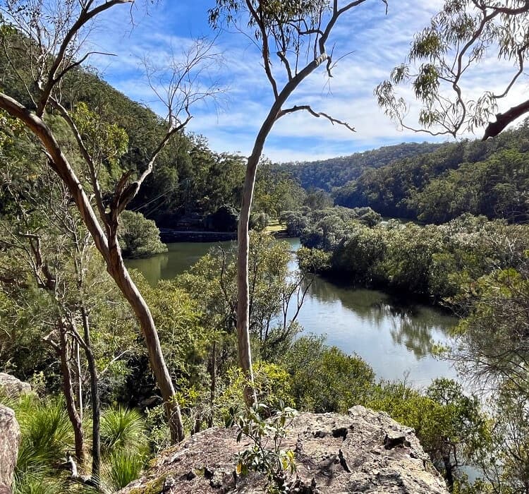 Views over Cockle Creek