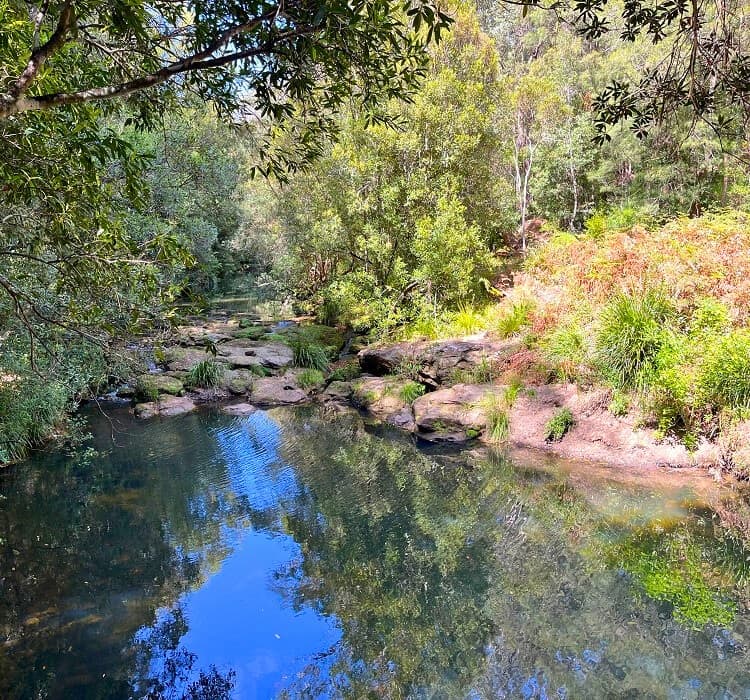 Views to the south over Cockle Creek