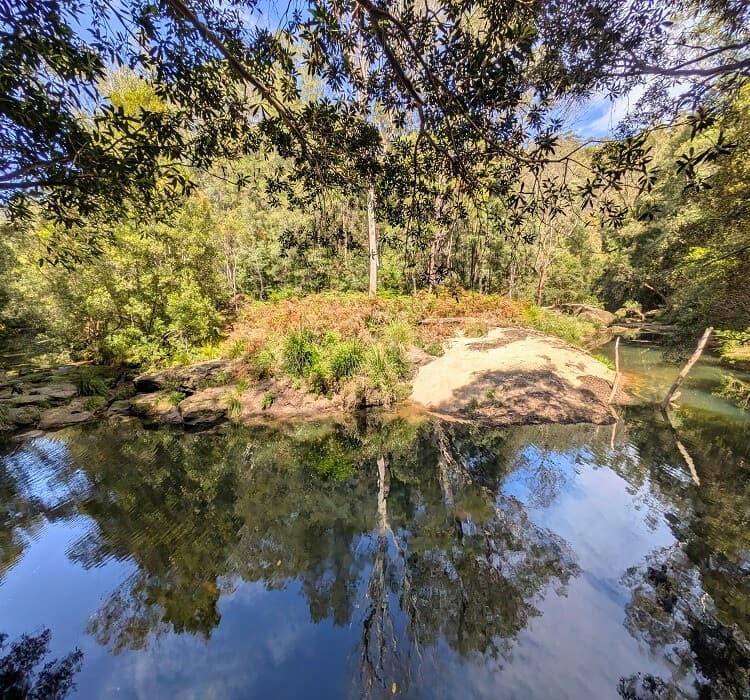 Waterhole on Cockle Creek