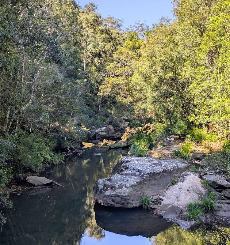 Cockle Creek