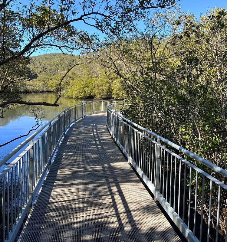 Mangrove Boardwalk