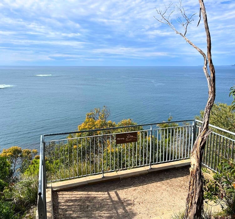Marang Lookout