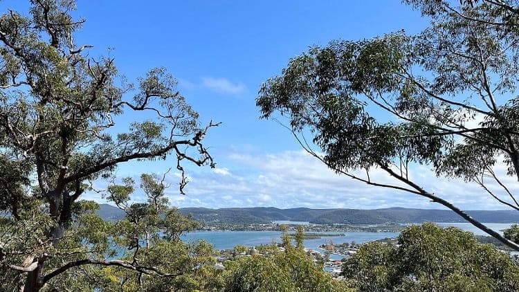 Daleys Point Walking Track