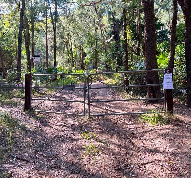 Start of the walk near Pearl Beach