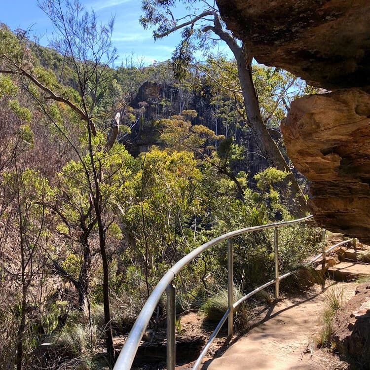 Fenced pathway