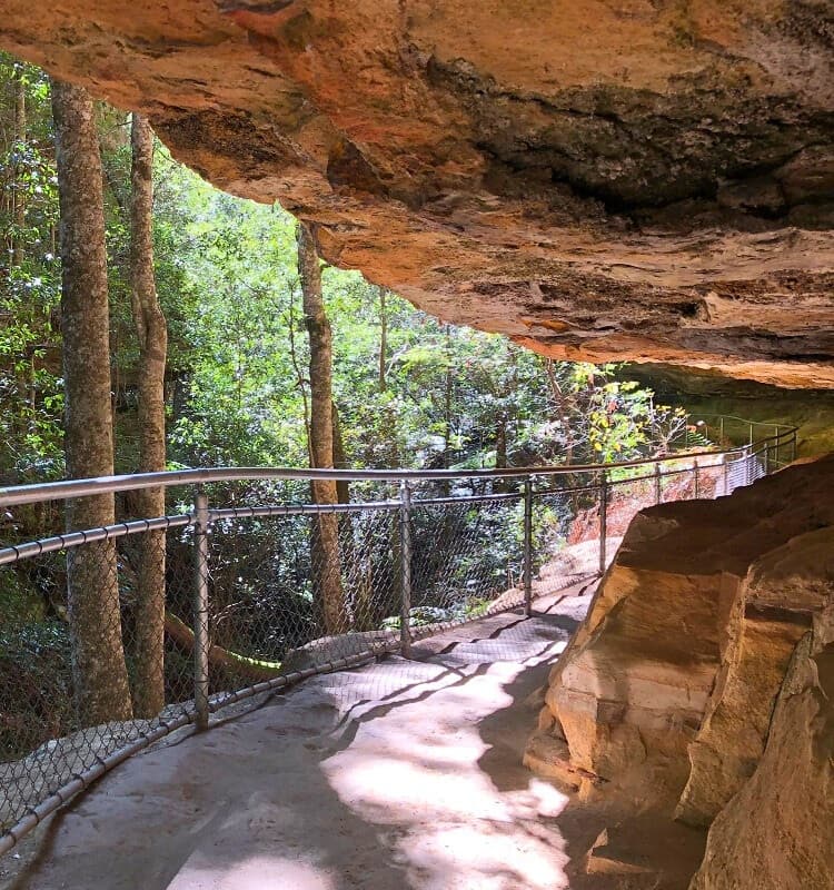Path under rock overhang