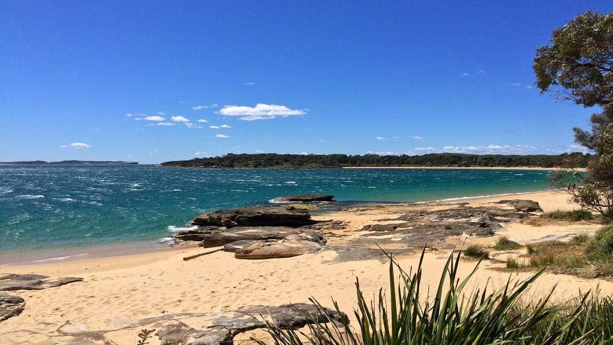 Jibbon Beach Loop Track in Bundeena