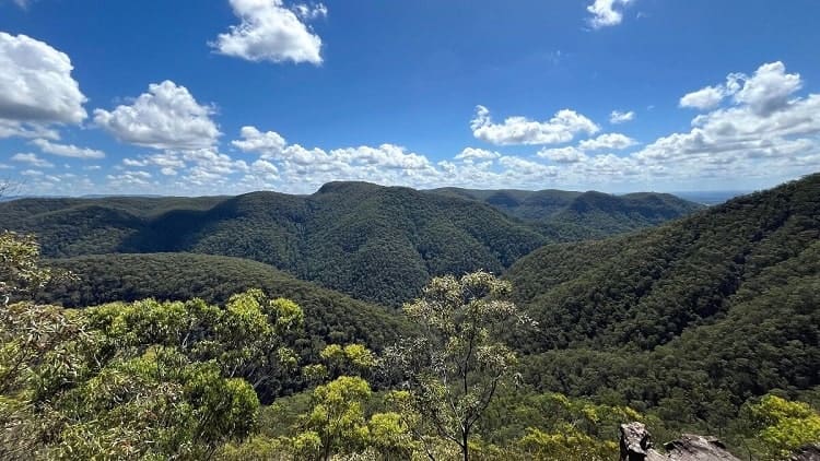 Grose Head South Lookout