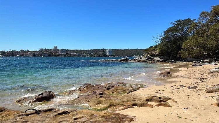 Reef Beach in Sydney's North Harbour