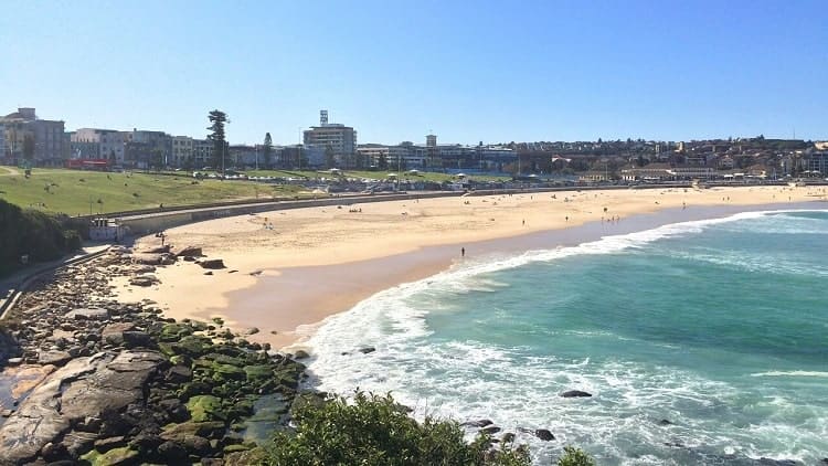 Bondi to Coogee Walk