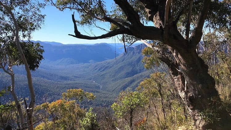 Cliff Top Walking Track