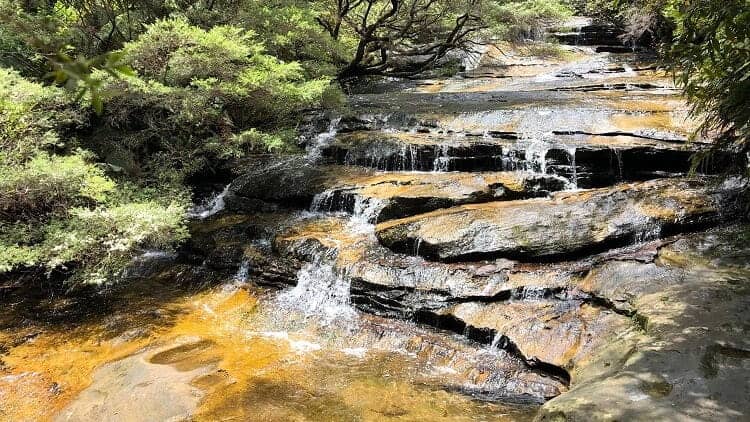 Leura Cascades Walking Track