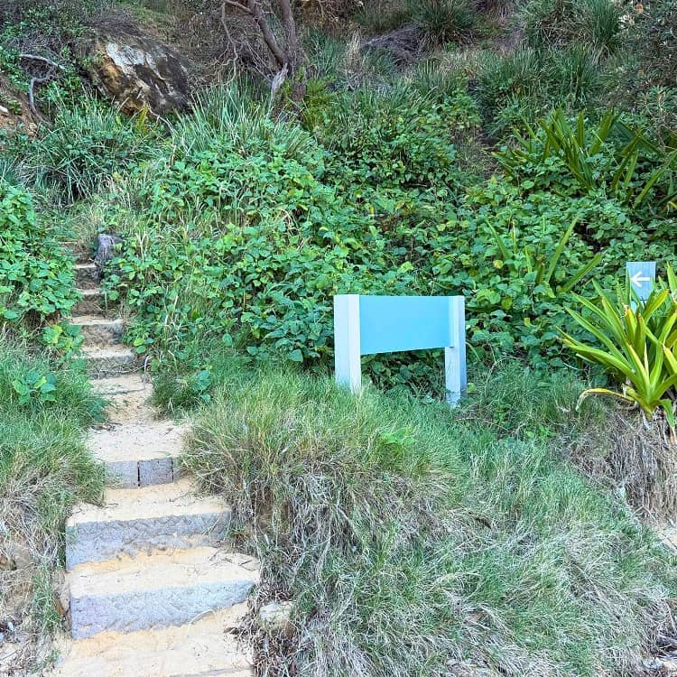 Access to Bouddi Coastal Walk