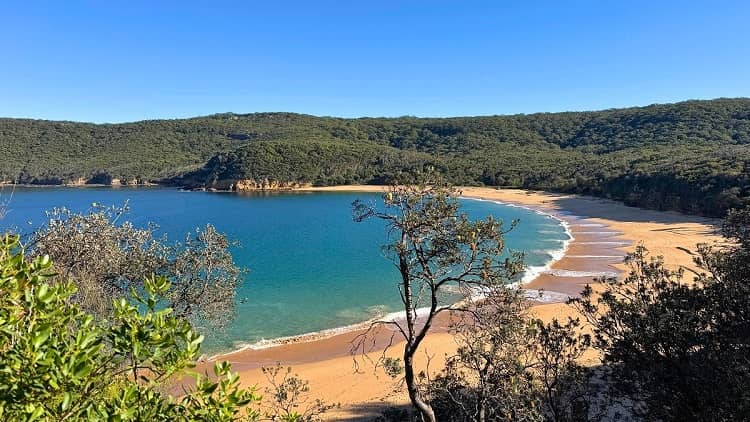 Maitland Bay and Mount Bouddi Circuit Walk