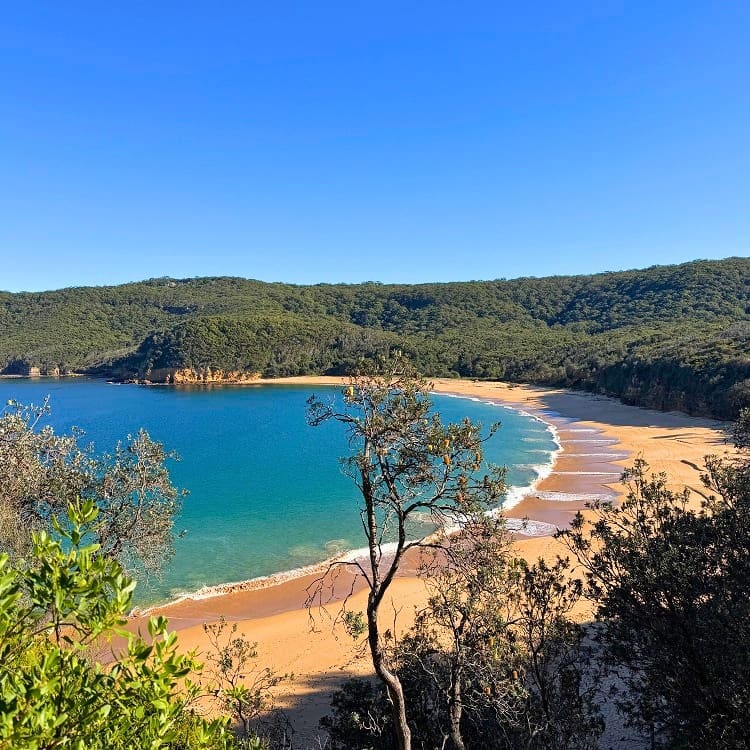 Views over Maitland Bay