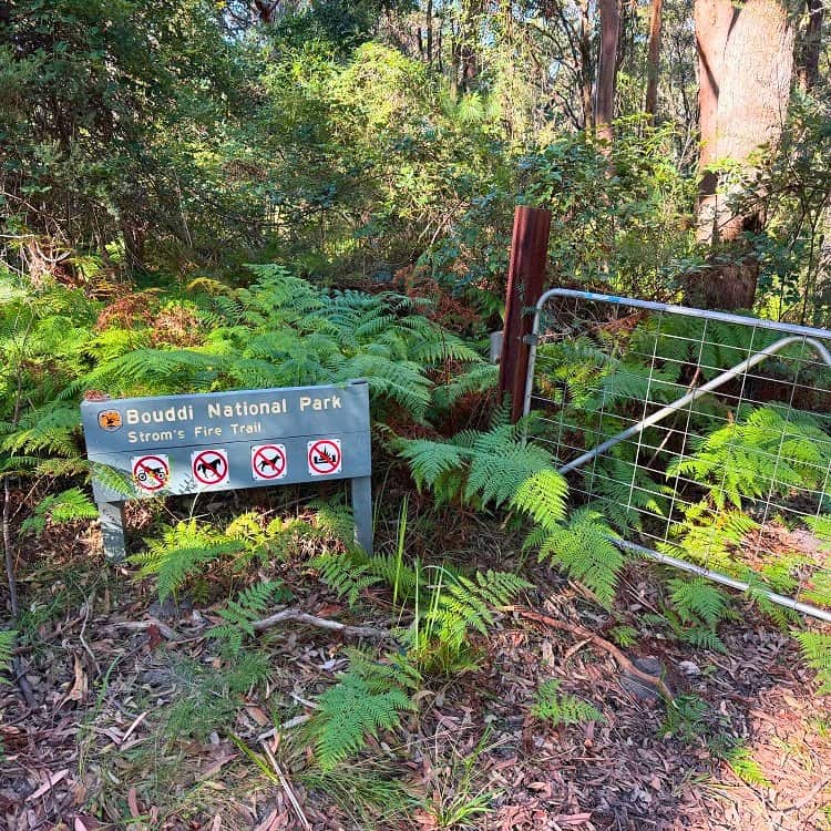 Start of the Stroms Fire Trail