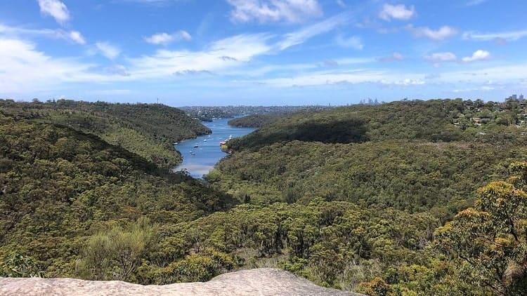 Seaforth Oval to Bluff Lookout Walk
