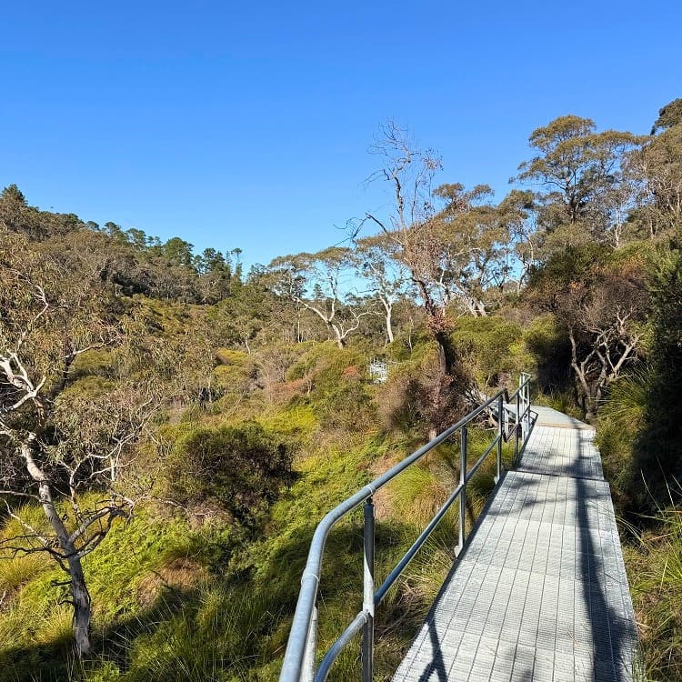 Steel walkways along Darwins Walk