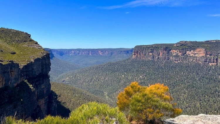 Walls Lookout Walking Track
